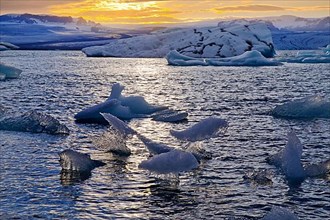 Icebergs in front of setting sun