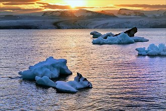 Icebergs in front of setting sun