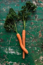 Two carrots bent into each other with parsley