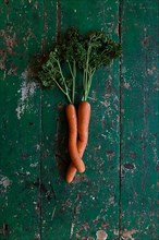 Two carrots bent into each other with parsley