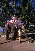 Tourists on an elephant ride at Kovalam near Thiruvananthapuram Trivandrum