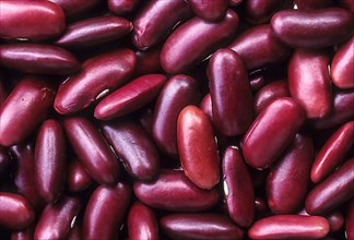 Dark red kidney beans Rajma kaaramani erra beans oil seeds scattered on full frame
