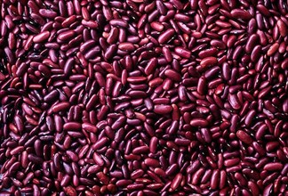 Dark red kidney beans or Rajma kaaramani erra beans oil seeds scattered on full frame