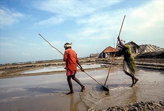 Workers in salt pan at Thoothukudi Tuticorin