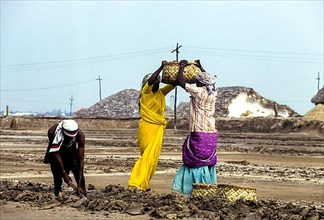 Workers in salt pan at Thoothukudi Tuticorin