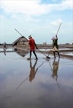 Workers in salt pan at Thoothukudi Tuticorin