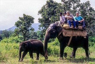 Foregin tourists to observe wildlife on an elephant in Bandipur Sanctuary
