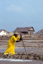 Worker in salt pan at Thoothukudi Tuticorin