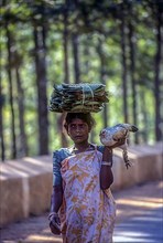 A tribal woman carrying a bundle on her head and a Hen on her hand for sale at Sunkarametta tribal weekly market in Araku Valley near Visakhapatnam Vizag