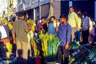 Selling cut flowers at City Market in Bengaluru Bangalore
