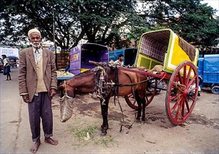 An old man with his horse cart jatka in Bengaluru Bangalore