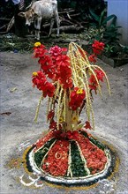 Floral decoration during Onam festival