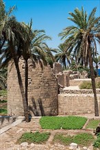 Herb garden in front of Mamluk castle