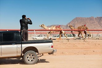 Bedouin watches official camel race in Wadi Rum