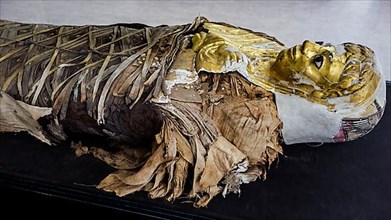 Close-up of a mummy from Fayum