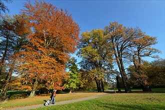 Palace gardens