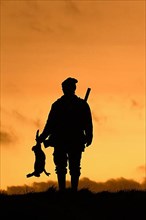 Hunter with rifle holding killed brown hare silhouetted against sunset