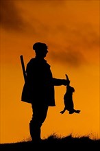 Hunter with rifle holding killed brown hare silhouetted against sunset