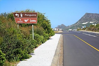 Signpost to penguins and whalewatch