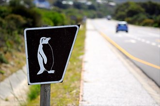 Signpost to penguins