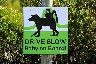 Signpost to protect baboons with young