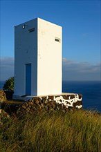 Whale watching tower