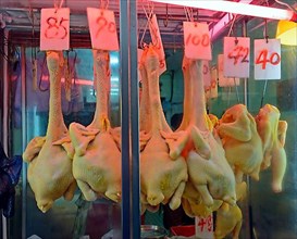 Freshly slaughtered chickens