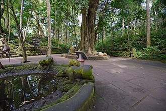 Main square in the monkey forest