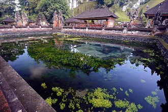 Sacred pond with underground freshwater supply