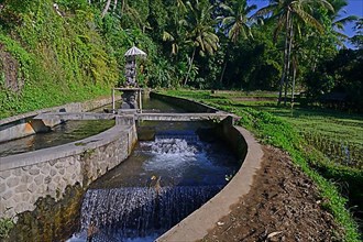 Irrigation canal for rice terraces