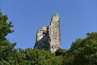 Drachenfels Castle