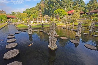 Water features and water basins in the Tirta Gangga water temple