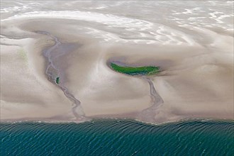 Aerial view of tidal mudflats and seagrass