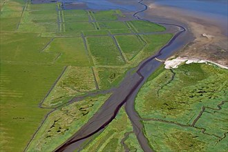 Aerial view over salt marshes at low tide
