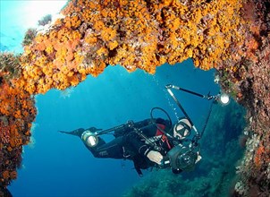 Underwater photographer in the Mediterranean