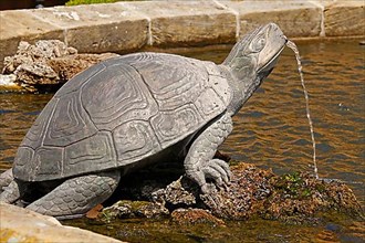 Turtle sculpture as gargoyle