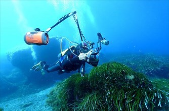 Underwater photographer in the Mediterranean