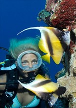 Diver and longfin bannerfish