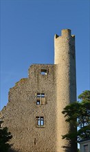 Hoher Schwarm Castle Ruin