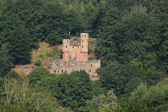 Schadeck Castle or Swallow's Nest in Neckarsteinach