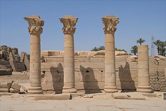 Columns with Corinthian capitals
