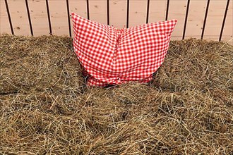 Detail straw bed