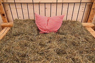Wooden bed with straw