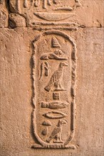 Cleopatra Hieroglyph