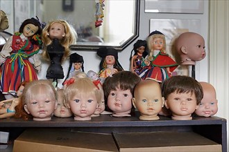 Doll's heads