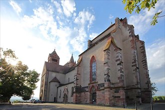 Romanesque Stephansmuenster as a landmark on the castle hill in the backlight in Breisach