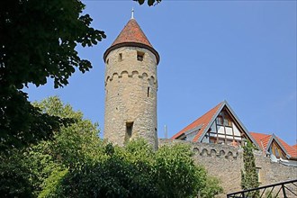 Historic town fortification with tower in Gundelsheim