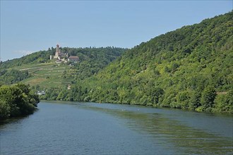 View of Hornberg Castle built 11th century with Neckar River in Neckarzimmern