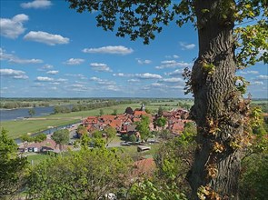 View of Hitzacker on the Elbe in the Elbe River Landscape UNESCO Biosphere Reserve