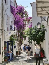 Narrow streets decorated with flowers in the centre of Cadaques